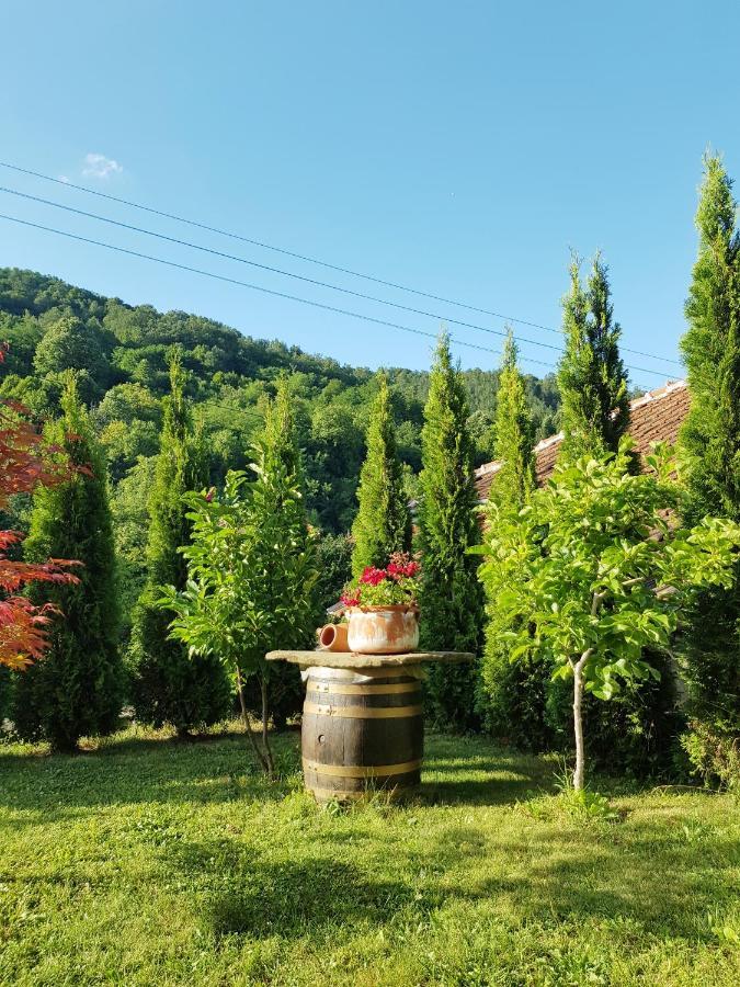 Family Hotel Chiflik Hills Kültér fotó